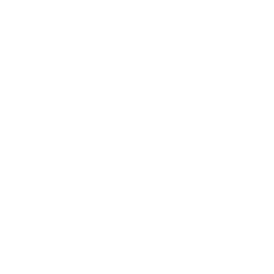 Emerald Phoenix Music Group